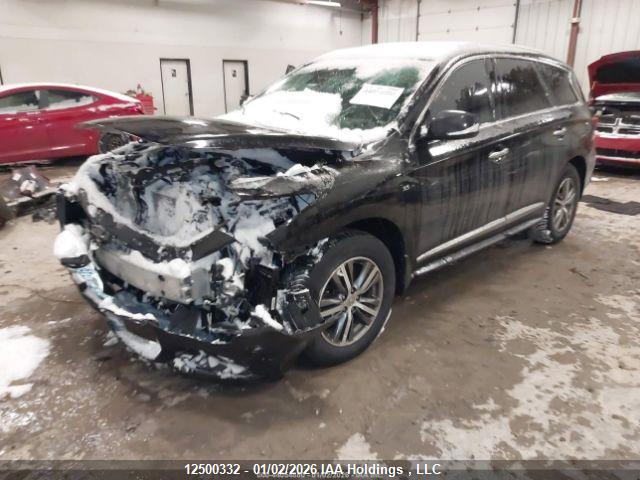 5N1DL0MM1LC504559 Infiniti Qx60 Luxe/pure/special Edition