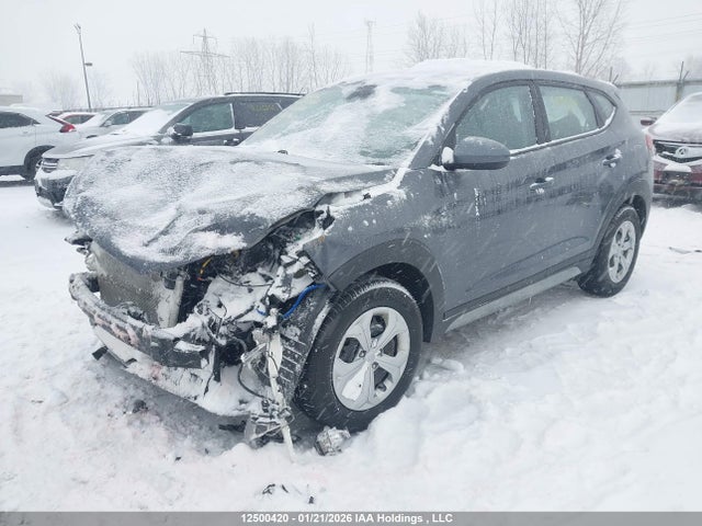 KM8J23A48KU907961 Hyundai Tucson