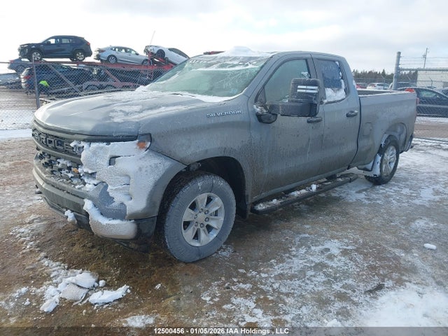 12500456 :رقم المزاد ، 1GCRDAED2RZ158412 vin ، 2024 Chevrolet Silverado 1500 Work Truck مزاد بيع