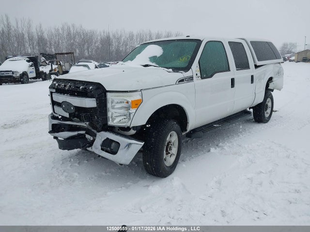 12500559 :رقم المزاد ، 1FT7W2BT1GEC93629 vin ، 2016 Ford F-250 مزاد بيع