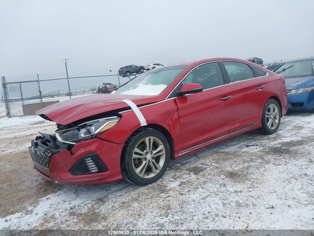 5NPE34AF9KH794476 Hyundai Sonata Essential