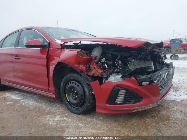 5NPE34AF9KH794476 Hyundai Sonata Essential