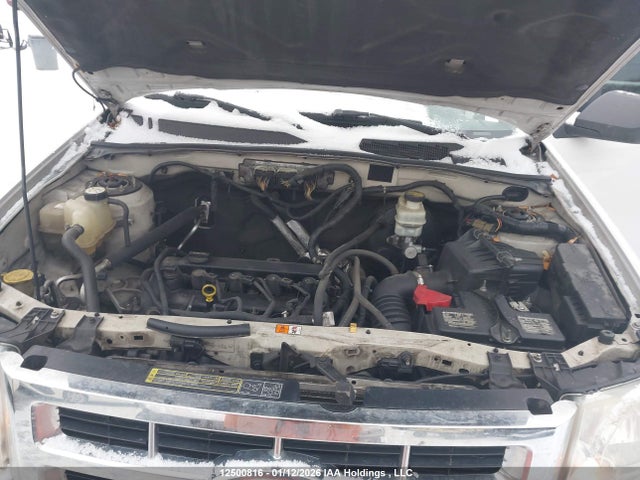 Продаж на аукціоні авто 2009 Ford Escape Xlt Automatic/xlt Manual, vin: 1FMCU03749KD02656, номер лоту: 12500816