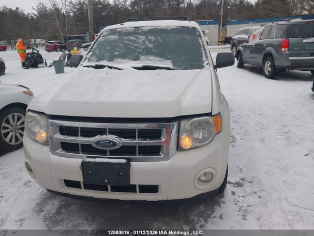 Продаж на аукціоні авто 2009 Ford Escape Xlt Automatic/xlt Manual, vin: 1FMCU03749KD02656, номер лоту: 12500816
