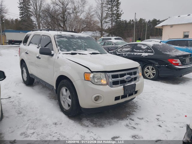 Продаж на аукціоні авто 2009 Ford Escape Xlt Automatic/xlt Manual, vin: 1FMCU03749KD02656, номер лоту: 12500816
