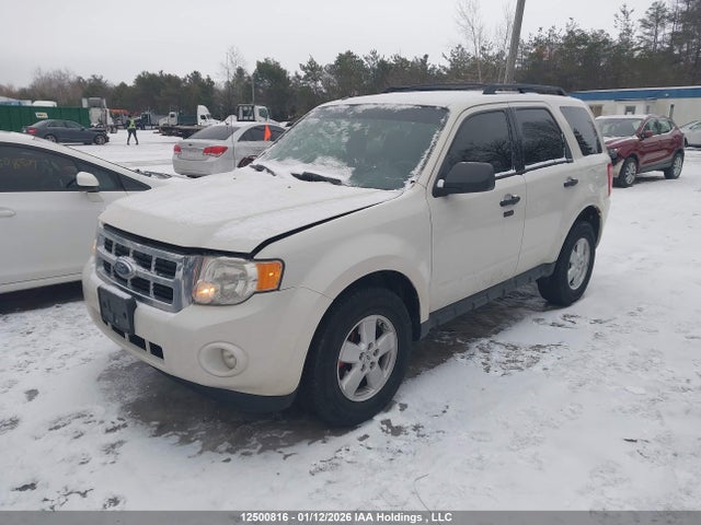 Продаж на аукціоні авто 2009 Ford Escape Xlt Automatic/xlt Manual, vin: 1FMCU03749KD02656, номер лоту: 12500816