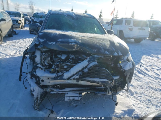12500827 :رقم المزاد ، 2T3B1RFV4LC114825 vin ، 2020 Toyota Rav4 Le مزاد بيع