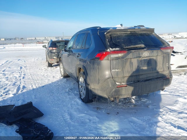 12500827 :رقم المزاد ، 2T3B1RFV4LC114825 vin ، 2020 Toyota Rav4 Le مزاد بيع