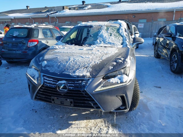 JTJGARDZ7M2258497 Lexus NX 300