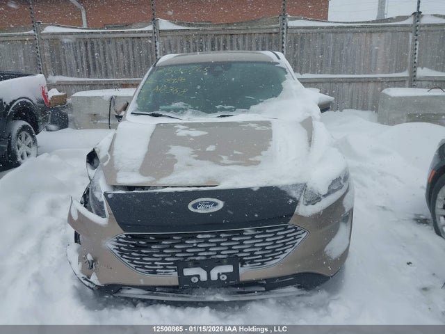 Ford ESCAPE SEL 2020 1FMCU9H98LUA18358 Image 12