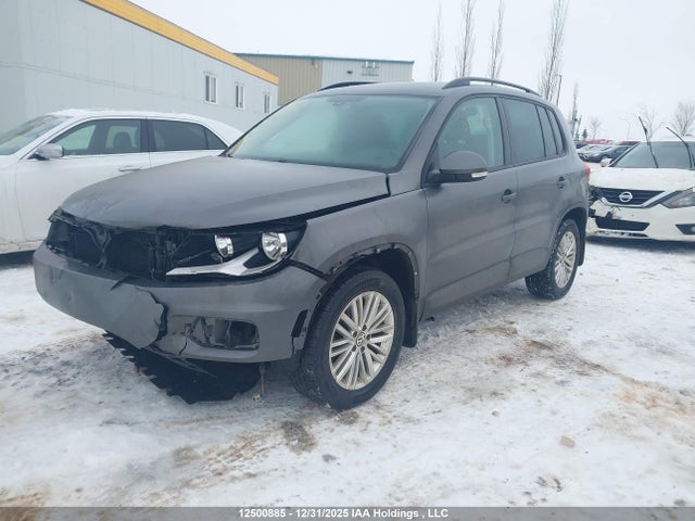 WVGJV7AX5GW066332 Volkswagen Tiguan Comfortline/highline/special Edition