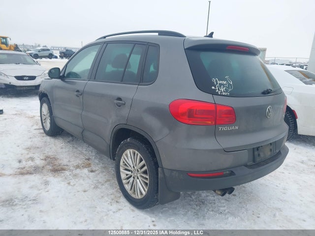 WVGJV7AX5GW066332 Volkswagen Tiguan Comfortline/highline/special Edition