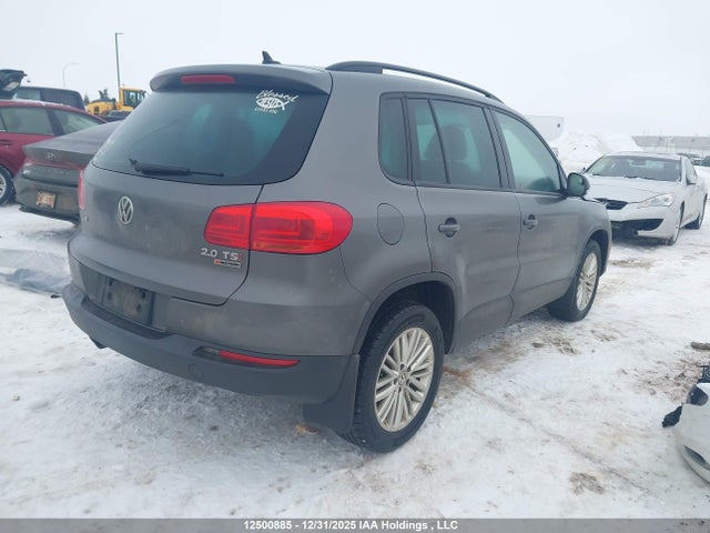 WVGJV7AX5GW066332 Volkswagen Tiguan Comfortline/highline/special Edition