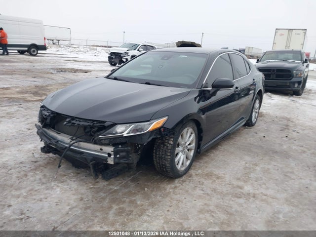 4T1G11AK7LU989246 Toyota CAMRY SE