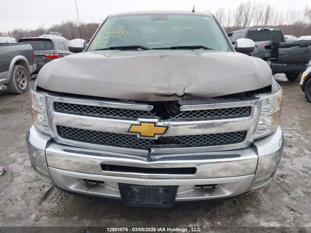 Продаж на аукціоні авто 2013 Chevrolet Silverado 1500 Lt, vin: 3GCPCSE01DG330659, номер лоту: 12501076