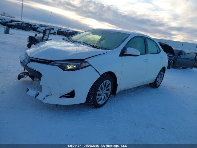 2T1BURHE1KC243925 Toyota Corolla L/le/xle/se/xse