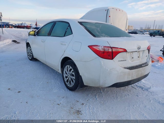 2T1BURHE1KC243925 Toyota Corolla L/le/xle/se/xse