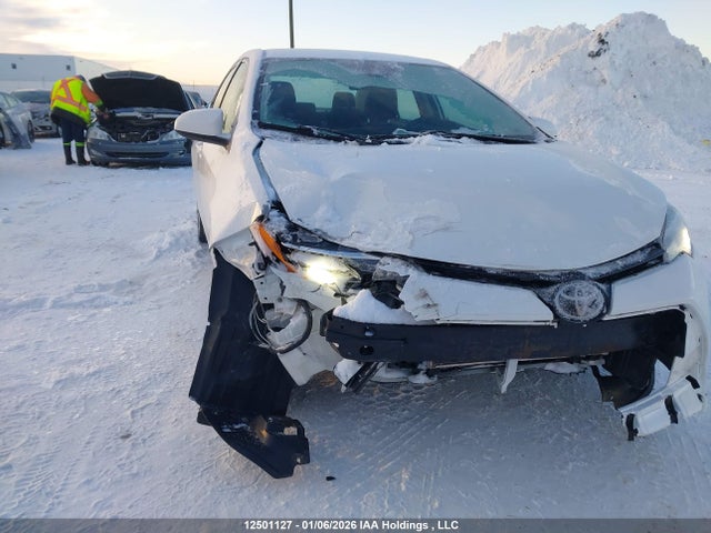 2T1BURHE1KC243925 Toyota Corolla L/le/xle/se/xse