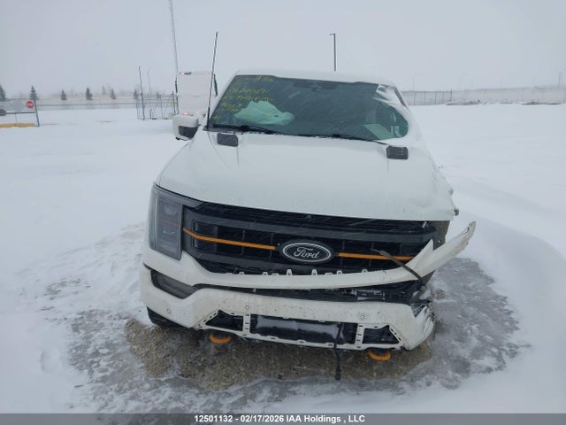 2023 Ford F150 Supercrew მანქანა იყიდება აუქციონზე, vin: 1FTEW1E85PFA77009, აუქციონის ნომერი: 12501132
