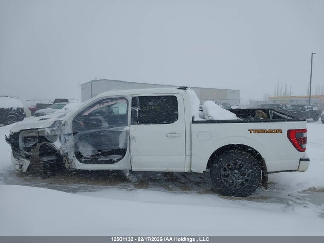 2023 Ford F150 Supercrew მანქანა იყიდება აუქციონზე, vin: 1FTEW1E85PFA77009, აუქციონის ნომერი: 12501132