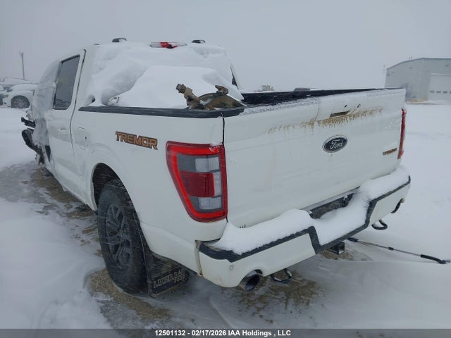 2023 Ford F150 Supercrew მანქანა იყიდება აუქციონზე, vin: 1FTEW1E85PFA77009, აუქციონის ნომერი: 12501132