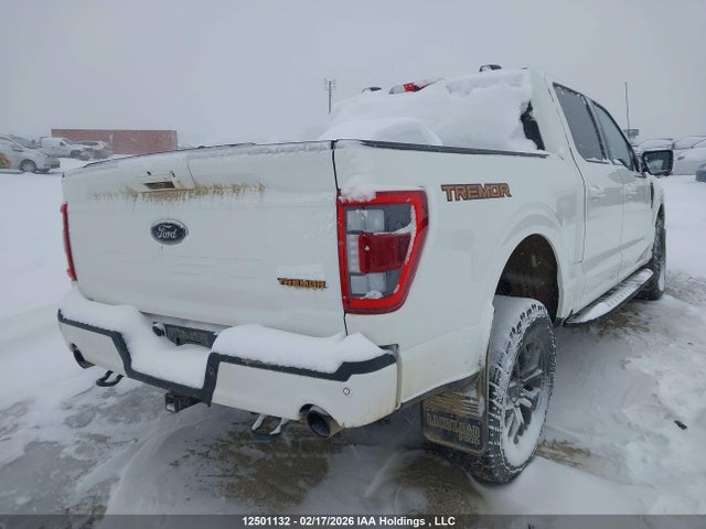 2023 Ford F150 Supercrew მანქანა იყიდება აუქციონზე, vin: 1FTEW1E85PFA77009, აუქციონის ნომერი: 12501132