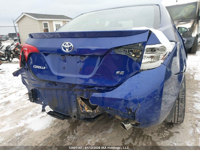 2T1BURHE1KC169034 Toyota Corolla L/le/xle/se/xse