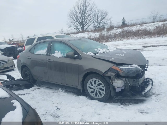 2T1BURHE1JC019052 Toyota Corolla