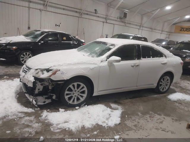 12501219 :رقم المزاد ، JTHBK1EG6B2465287 vin ، 2011 Lexus Es 350 350 مزاد بيع