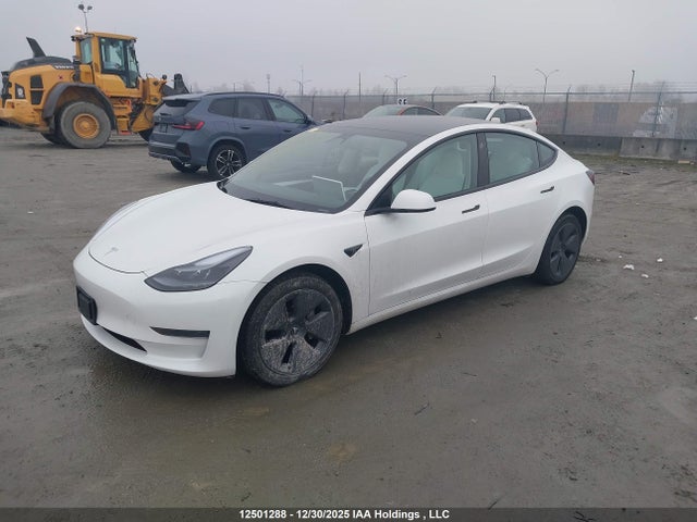 Tesla MODEL 3 2023 5YJ3E1EAXPF558682 Image 2