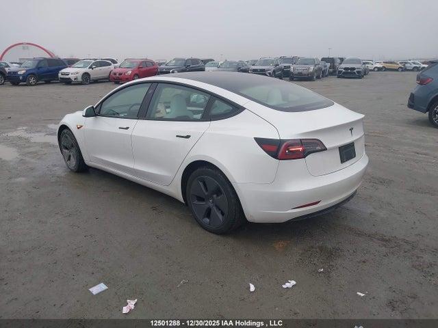 Tesla MODEL 3 2023 5YJ3E1EAXPF558682 Image 3