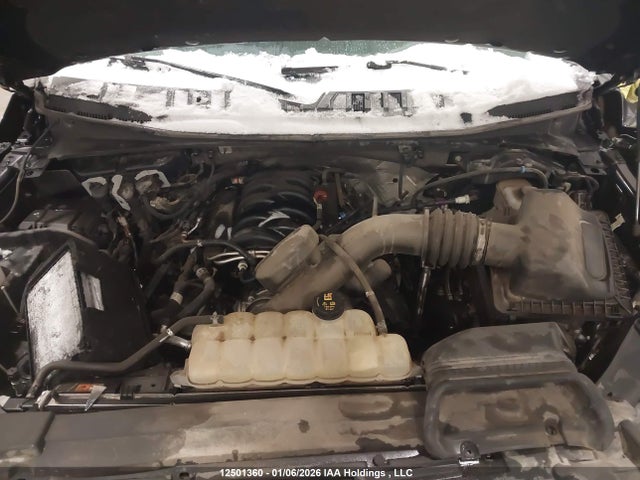 12501360 :رقم المزاد ، 1FTFW1E50LFB02435 vin ، 2020 Ford F150 Supercrew مزاد بيع