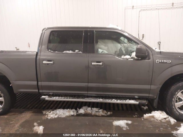 12501360 :رقم المزاد ، 1FTFW1E50LFB02435 vin ، 2020 Ford F150 Supercrew مزاد بيع