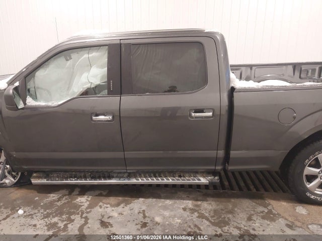 12501360 :رقم المزاد ، 1FTFW1E50LFB02435 vin ، 2020 Ford F150 Supercrew مزاد بيع