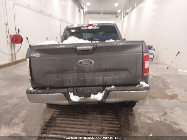 12501360 :رقم المزاد ، 1FTFW1E50LFB02435 vin ، 2020 Ford F150 Supercrew مزاد بيع