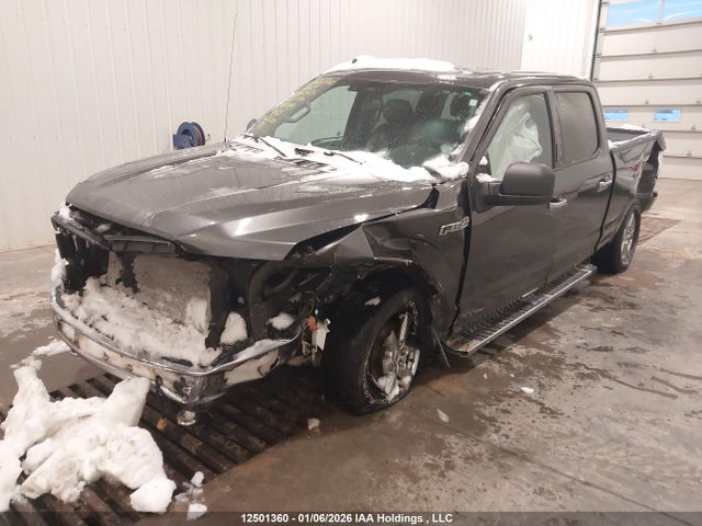 12501360 :رقم المزاد ، 1FTFW1E50LFB02435 vin ، 2020 Ford F150 Supercrew مزاد بيع