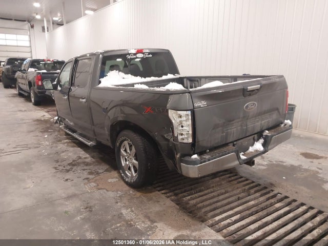 12501360 :رقم المزاد ، 1FTFW1E50LFB02435 vin ، 2020 Ford F150 Supercrew مزاد بيع