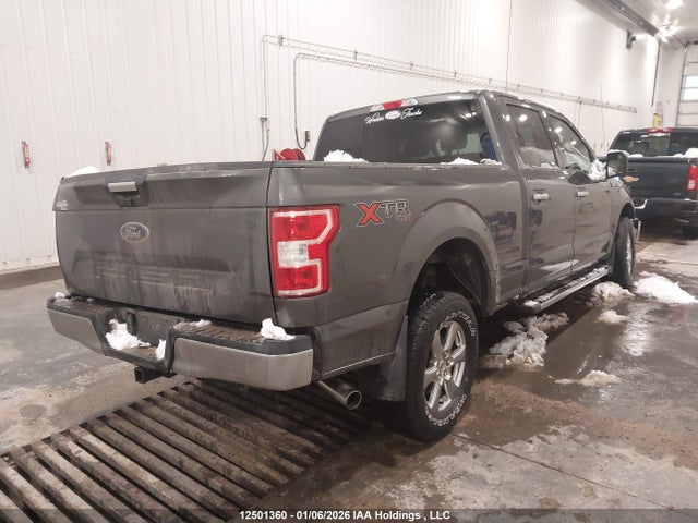 12501360 :رقم المزاد ، 1FTFW1E50LFB02435 vin ، 2020 Ford F150 Supercrew مزاد بيع