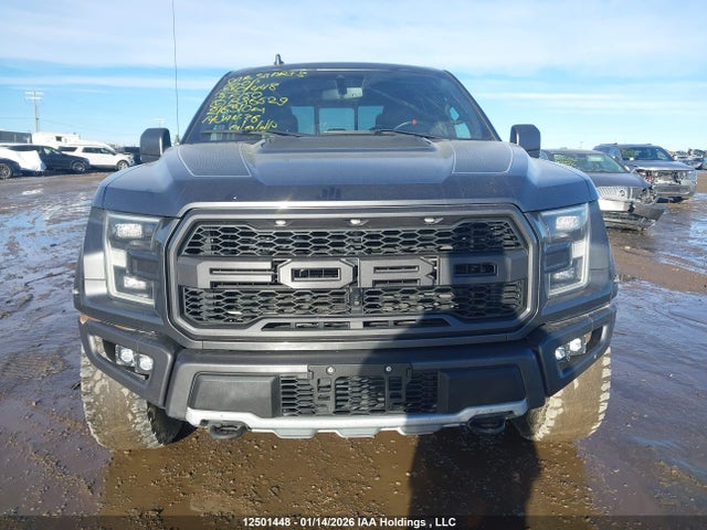 Aukcja sprzedaży 2019 Ford F-150 Raptor, vin: 1FTFW1RG8KFB86529, numer aukcji: 12501448