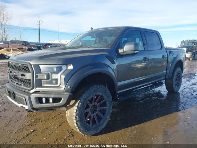 Aukcja sprzedaży 2019 Ford F-150 Raptor, vin: 1FTFW1RG8KFB86529, numer aukcji: 12501448