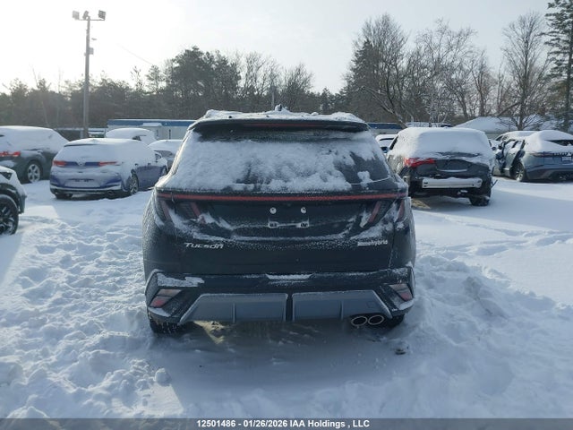 KM8JCDD11SU279116 Hyundai Tucson N-line Hybrid Awd