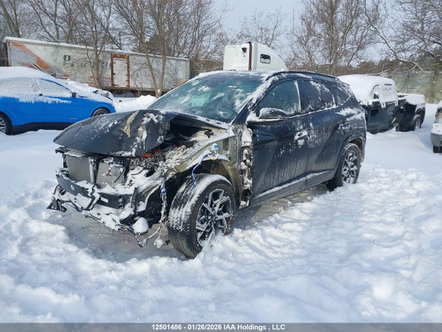 KM8JCDD11SU279116 Hyundai Tucson N-line Hybrid Awd