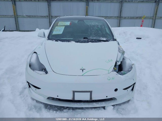 Aukcja sprzedaży 2020 Tesla Model 3 Standard Range Plus, vin: 5YJ3E1EA8LF789557, numer aukcji: 12501569