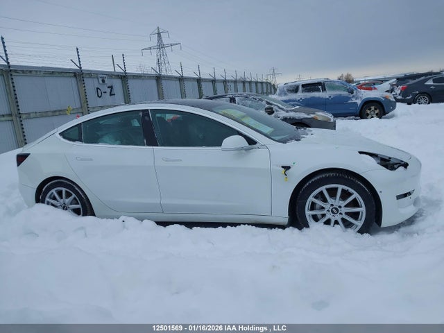 Aukcja sprzedaży 2020 Tesla Model 3 Standard Range Plus, vin: 5YJ3E1EA8LF789557, numer aukcji: 12501569