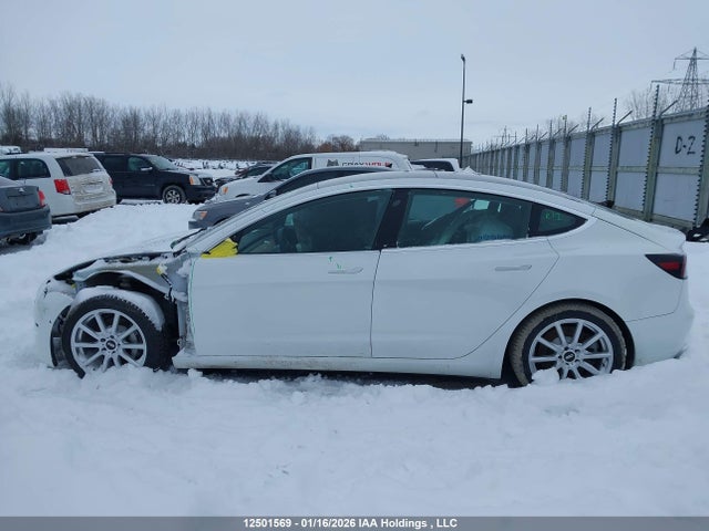 Aukcja sprzedaży 2020 Tesla Model 3 Standard Range Plus, vin: 5YJ3E1EA8LF789557, numer aukcji: 12501569