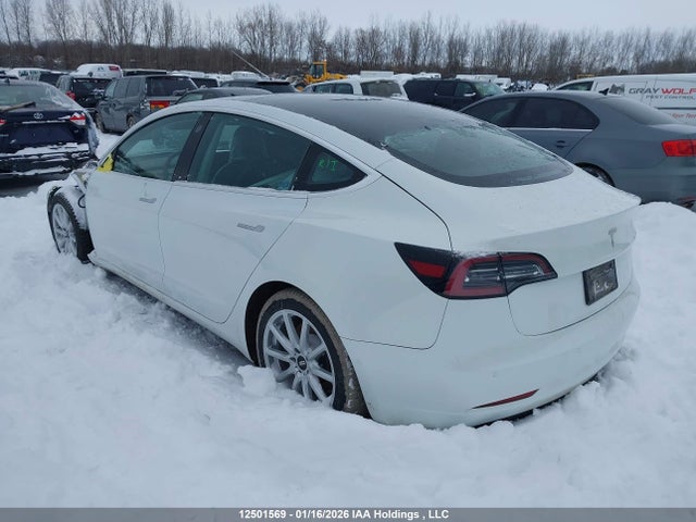 Aukcja sprzedaży 2020 Tesla Model 3 Standard Range Plus, vin: 5YJ3E1EA8LF789557, numer aukcji: 12501569