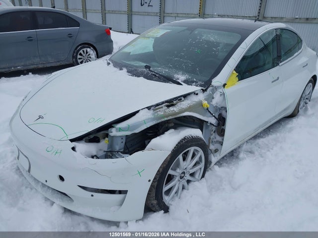 Aukcja sprzedaży 2020 Tesla Model 3 Standard Range Plus, vin: 5YJ3E1EA8LF789557, numer aukcji: 12501569