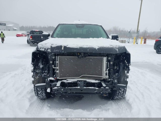 12501589 :رقم المزاد ، 1FTER4KH5SLE34230 vin ، 2025 Ford Ranger Lariat مزاد بيع