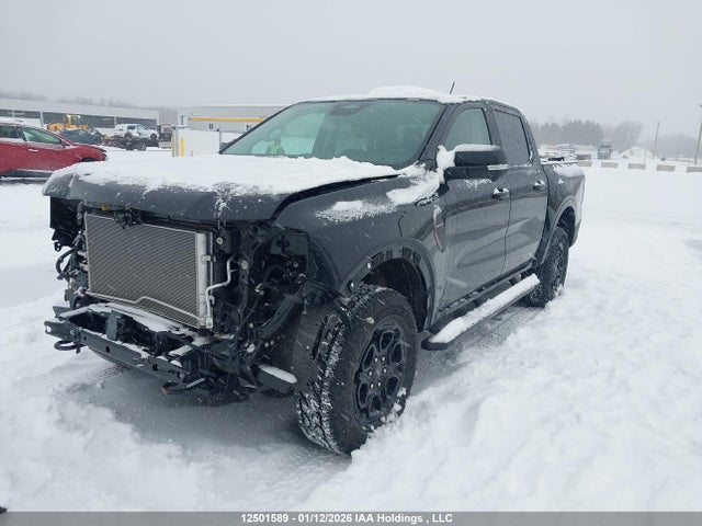12501589 :رقم المزاد ، 1FTER4KH5SLE34230 vin ، 2025 Ford Ranger Lariat مزاد بيع