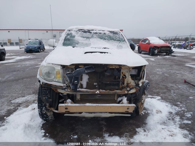 12501665 :رقم المزاد ، 5TEMU52N88Z504092 vin ، 2008 Toyota Tacoma Base V6 مزاد بيع